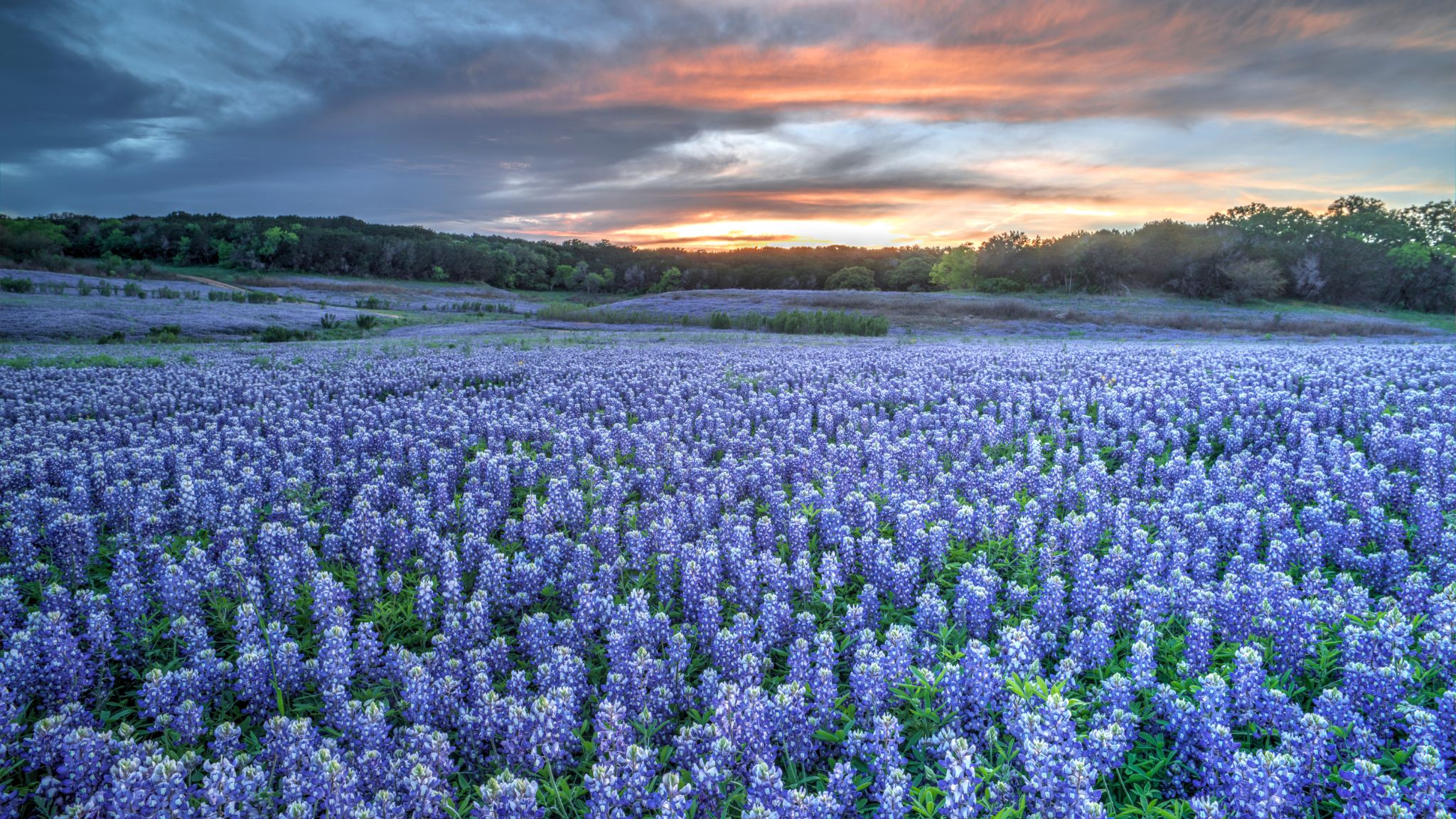 Texas Hometowns