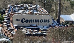 Snow in The Commons - January 21, 2025 - Photo 1