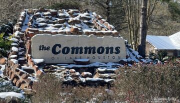 Snow in The Commons - January 21, 2025 - Photo 1