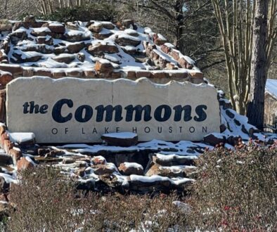 Snow in The Commons - January 21, 2025 - Photo 1