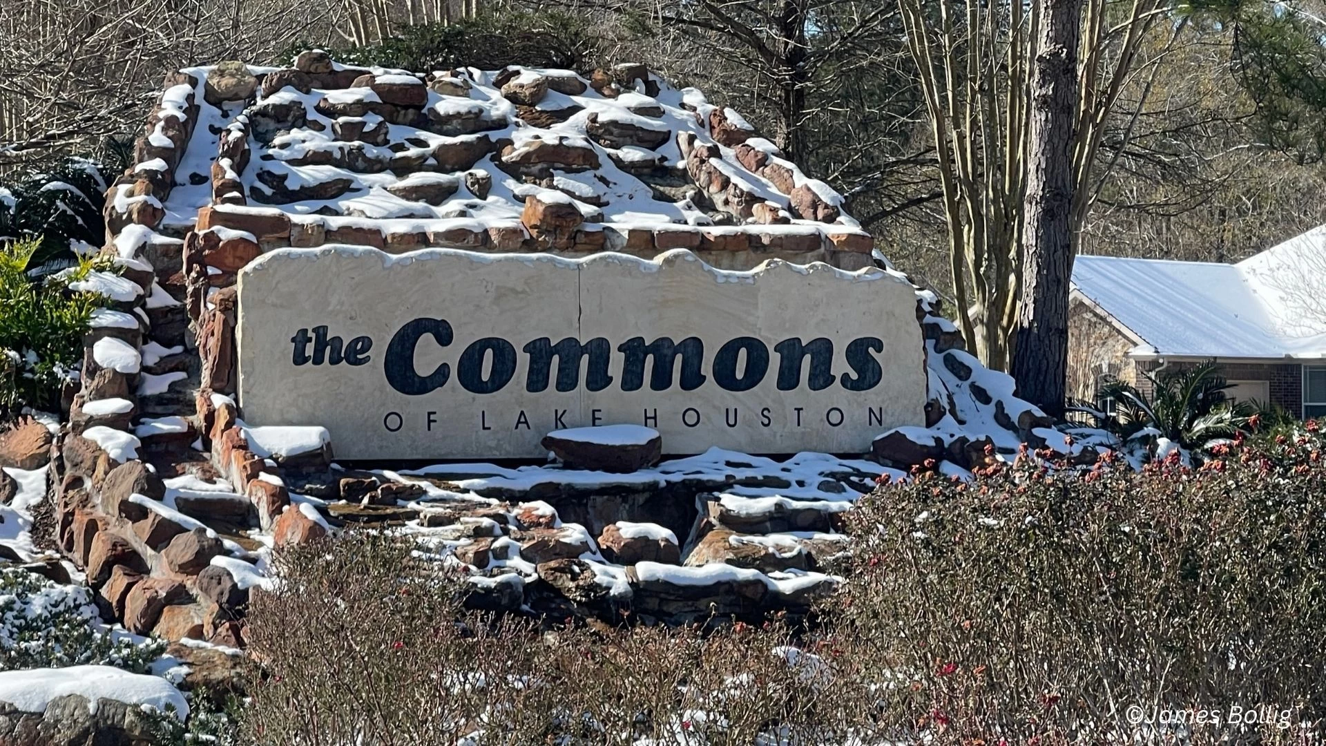 Snow in The Commons - January 21, 2025 - Photo 1