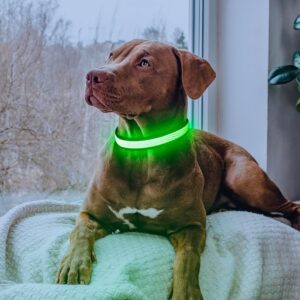 LED Dog Collar